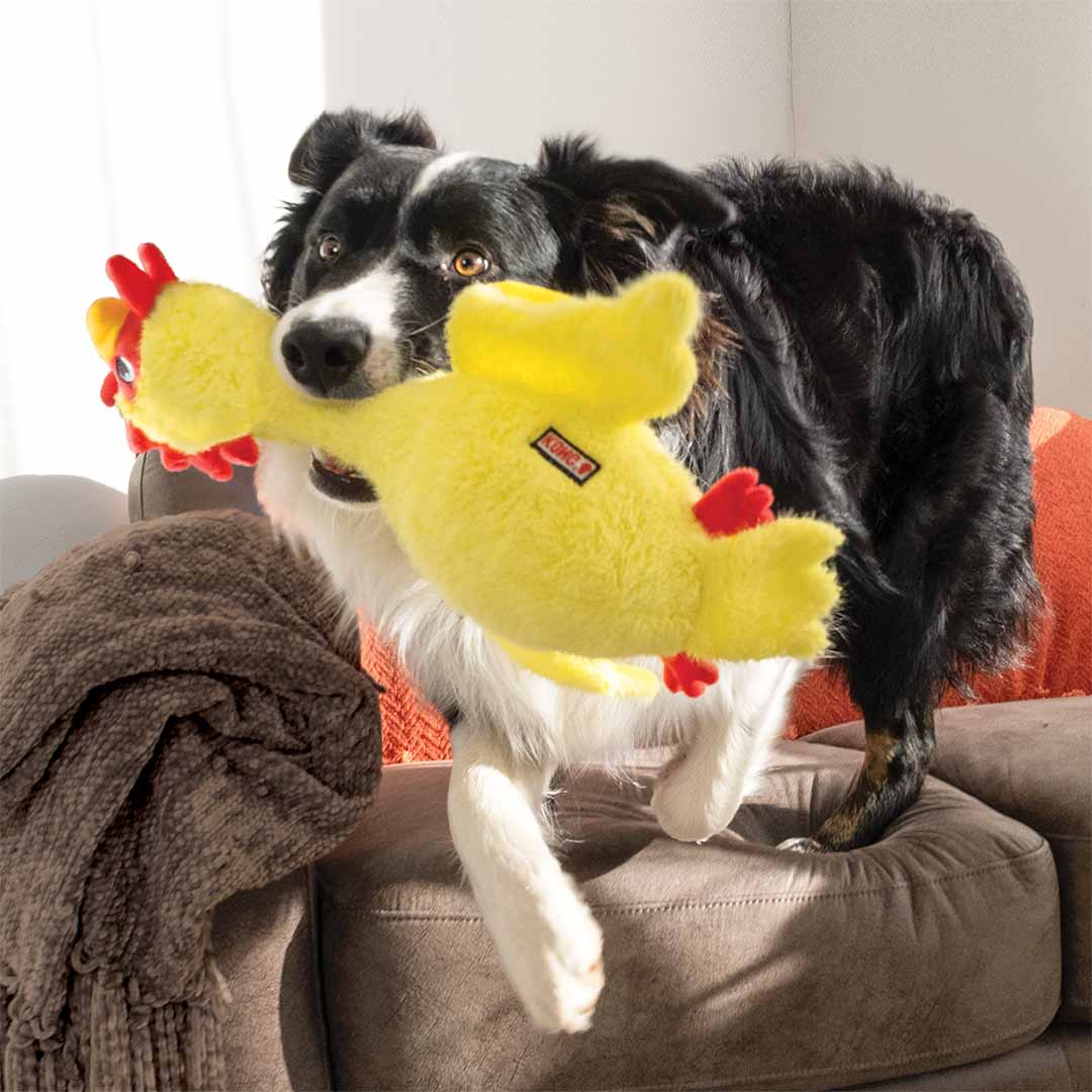 KONG Scruffs Chicken Yellow