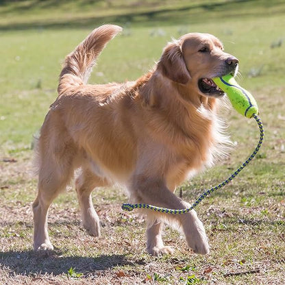 KONG AirDog® Fetch Stick with Rope Asst
