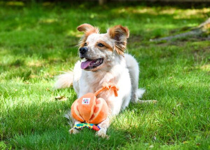 Eric Carle Hungry Caterpillar Orange Rope Dog Toy