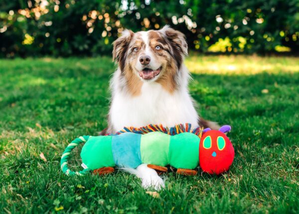 Eric Carle™ Very Hungry Caterpillar Rope Tugs
