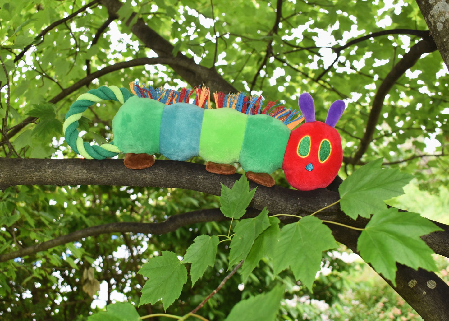Eric Carle™ Very Hungry Caterpillar Rope Tugs
