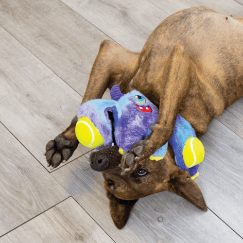 KONG Woozles Monsters