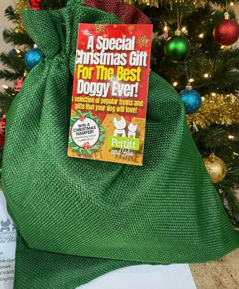 Xmas Bag - Green