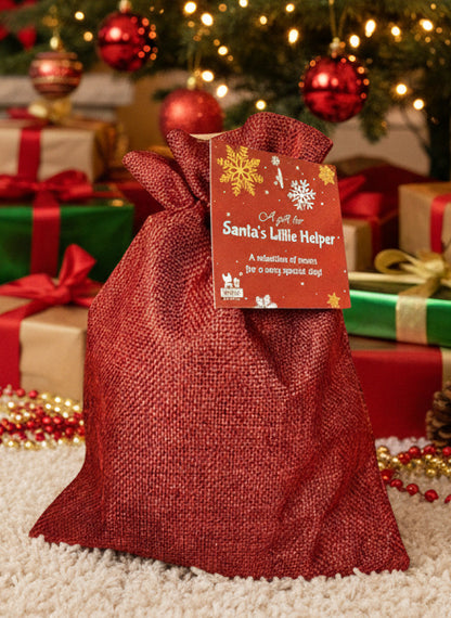 Santas Little Helper Gift Bag