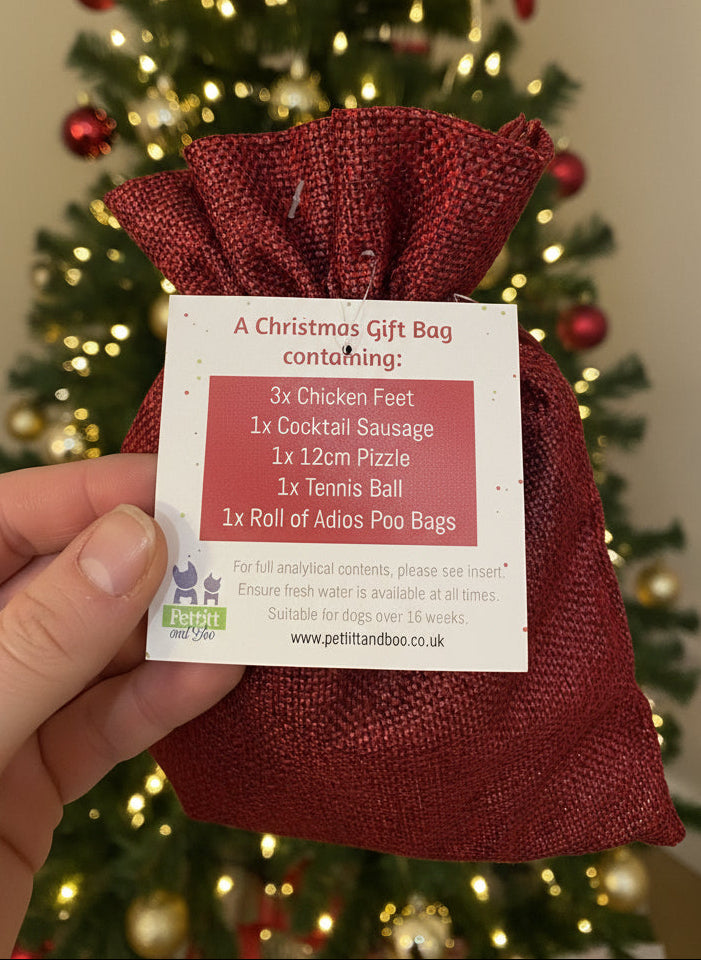 Santas Little Helper Gift Bag